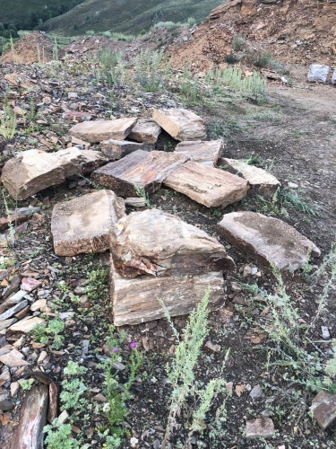 Плитняк кора дерева 50-100мм для пошаговых дорожек купить в Республике Коми